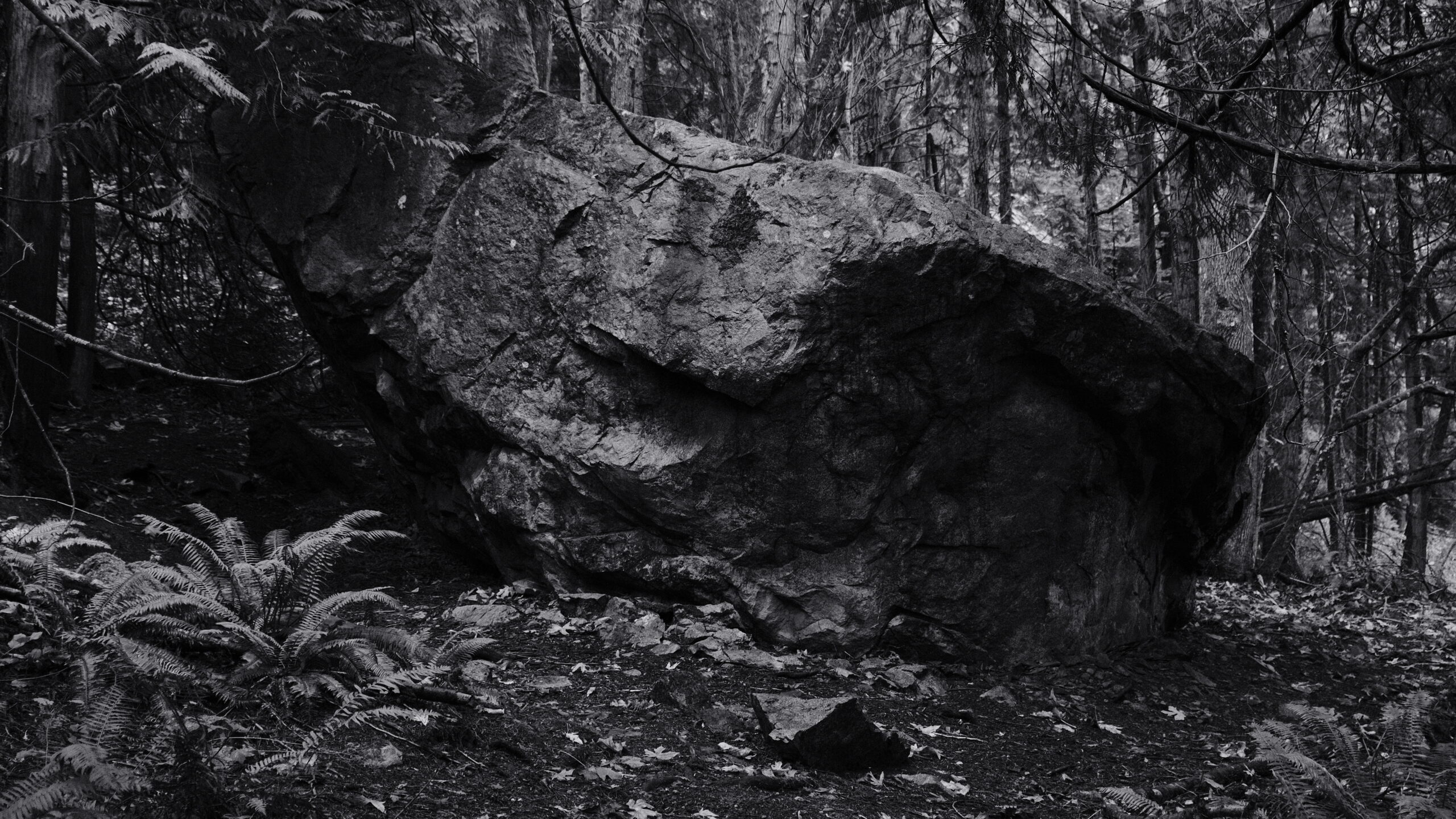 Stone